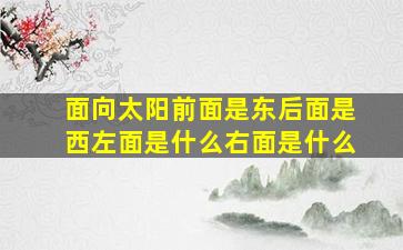 面向太阳前面是东后面是西左面是什么右面是什么