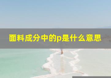 面料成分中的p是什么意思