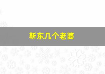 靳东几个老婆