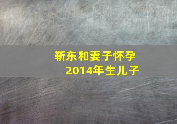 靳东和妻子怀孕2014年生儿子