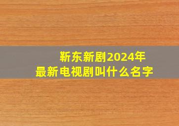 靳东新剧2024年最新电视剧叫什么名字