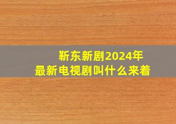 靳东新剧2024年最新电视剧叫什么来着