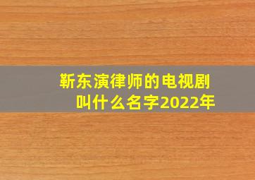 靳东演律师的电视剧叫什么名字2022年