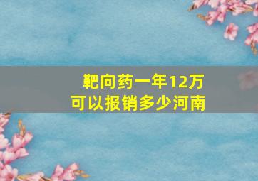 靶向药一年12万可以报销多少河南