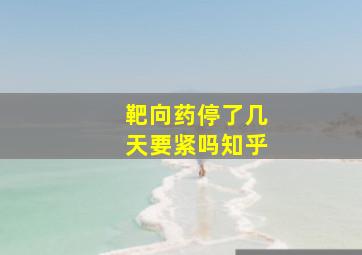 靶向药停了几天要紧吗知乎