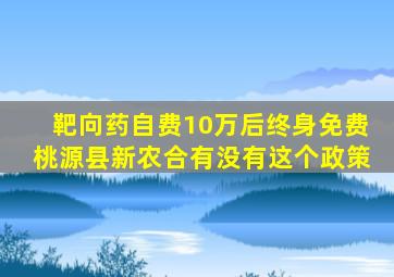 靶向药自费10万后终身免费桃源县新农合有没有这个政策