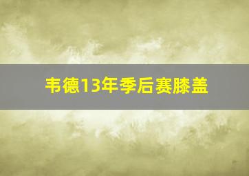 韦德13年季后赛膝盖