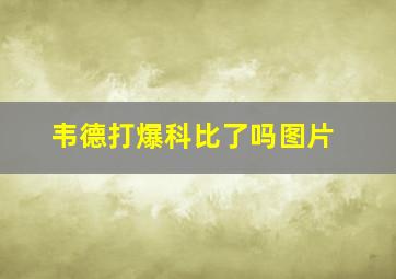 韦德打爆科比了吗图片