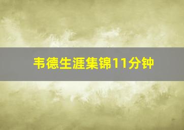 韦德生涯集锦11分钟