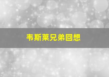 韦斯莱兄弟回想