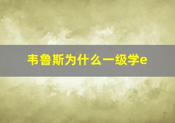 韦鲁斯为什么一级学e