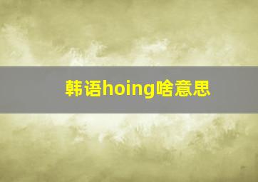 韩语hoing啥意思