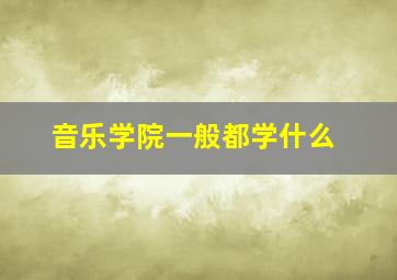 音乐学院一般都学什么