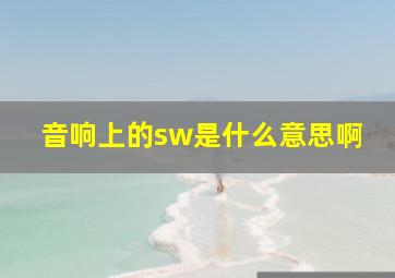 音响上的sw是什么意思啊