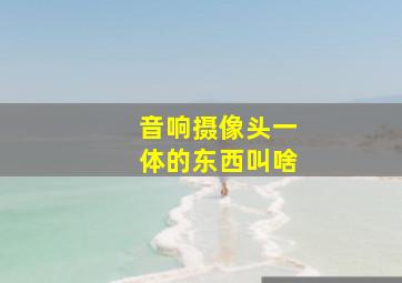 音响摄像头一体的东西叫啥