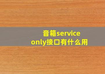 音箱serviceonly接口有什么用