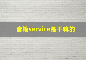 音箱service是干嘛的