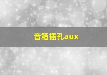 音箱插孔aux