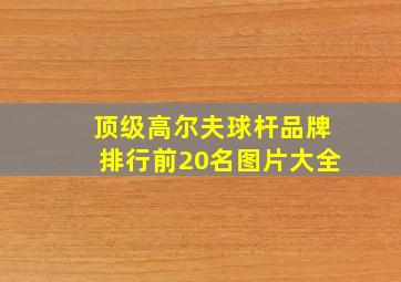 顶级高尔夫球杆品牌排行前20名图片大全