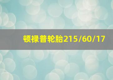 顿禄普轮胎215/60/17