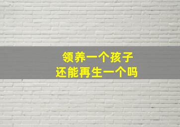 领养一个孩子还能再生一个吗