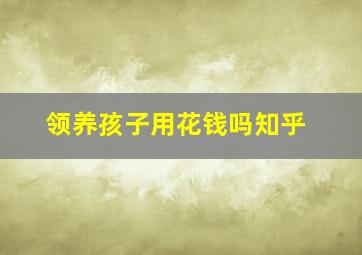 领养孩子用花钱吗知乎