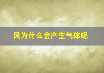 风为什么会产生气体呢