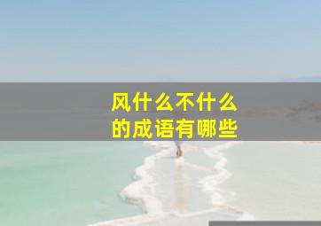 风什么不什么的成语有哪些