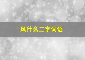 风什么二字词语