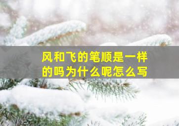 风和飞的笔顺是一样的吗为什么呢怎么写