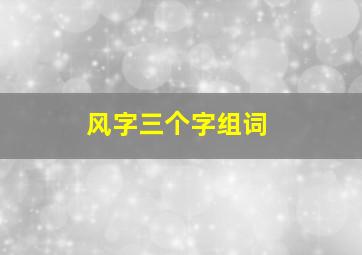 风字三个字组词