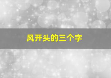 风开头的三个字