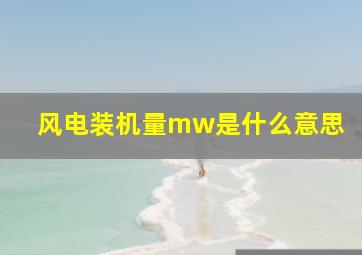 风电装机量mw是什么意思