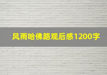 风雨哈佛路观后感1200字