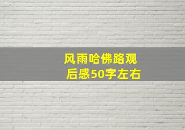 风雨哈佛路观后感50字左右