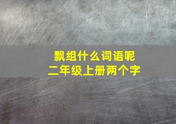 飘组什么词语呢二年级上册两个字