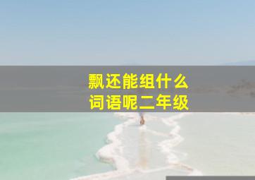 飘还能组什么词语呢二年级