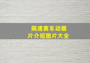 飙速赛车动画片介绍图片大全