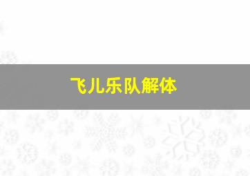 飞儿乐队解体