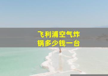 飞利浦空气炸锅多少钱一台