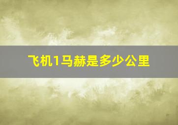 飞机1马赫是多少公里