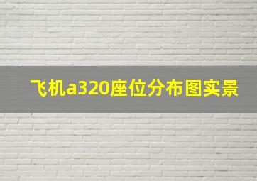 飞机a320座位分布图实景