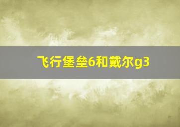 飞行堡垒6和戴尔g3