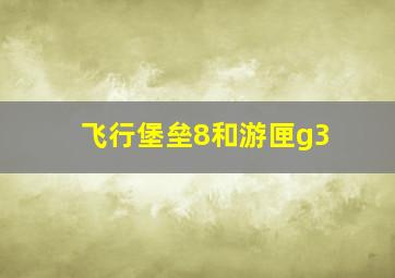 飞行堡垒8和游匣g3