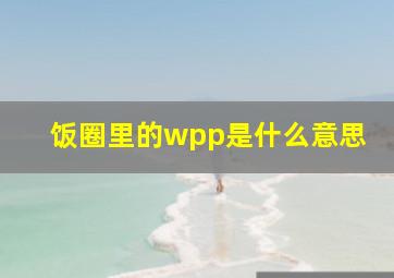 饭圈里的wpp是什么意思