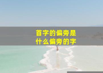 首字的偏旁是什么偏旁的字