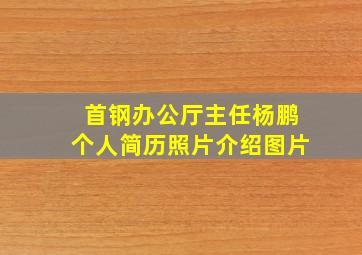 首钢办公厅主任杨鹏个人简历照片介绍图片