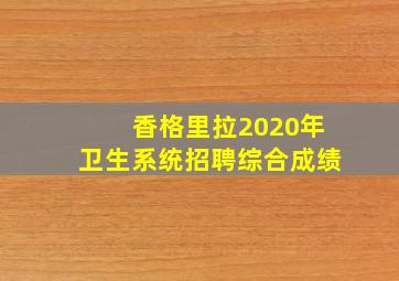 香格里拉2020年卫生系统招聘综合成绩