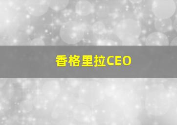 香格里拉CEO