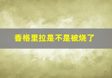 香格里拉是不是被烧了